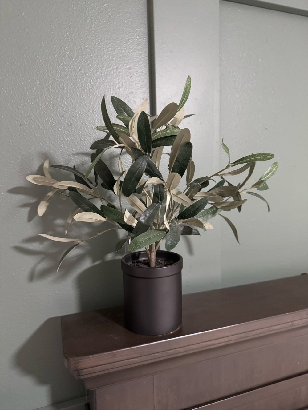 Artificial Olive Branch Plant in Black Planter - Green & Cream